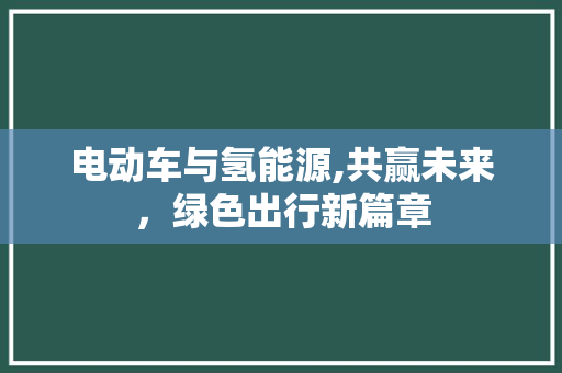 电动车与氢能源,共赢未来，绿色出行新篇章
