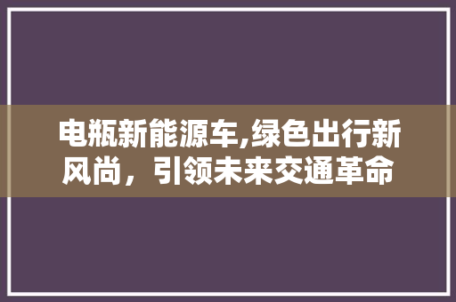 电瓶新能源车,绿色出行新风尚，引领未来交通革命