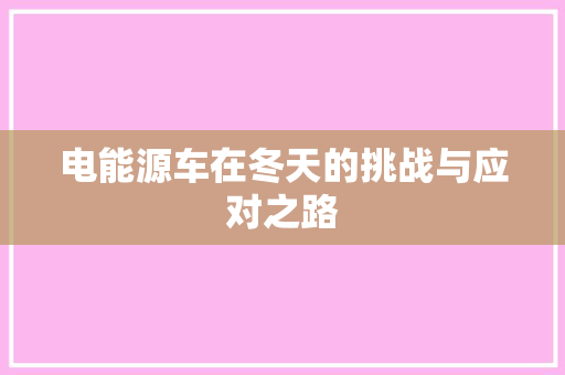 电能源车在冬天的挑战与应对之路