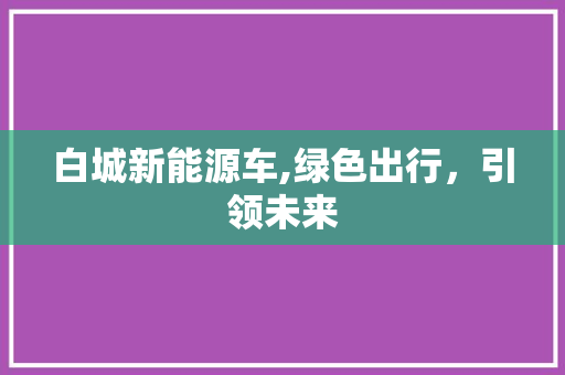 白城新能源车,绿色出行，引领未来