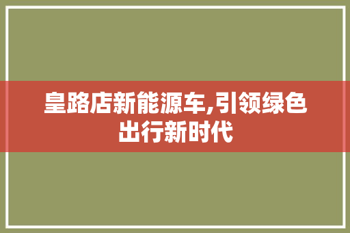 皇路店新能源车,引领绿色出行新时代