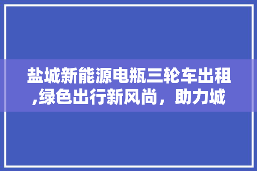 盐城新能源电瓶三轮车出租,绿色出行新风尚，助力城市环保