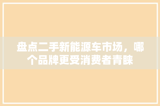 盘点二手新能源车市场，哪个品牌更受消费者青睐