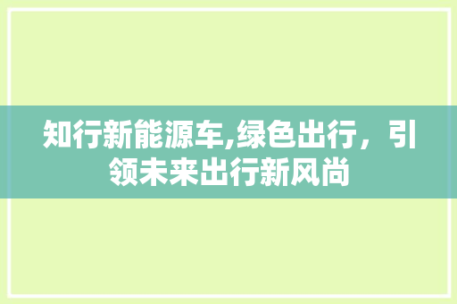 知行新能源车,绿色出行，引领未来出行新风尚