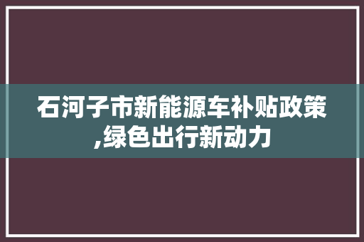 石河子市新能源车补贴政策,绿色出行新动力