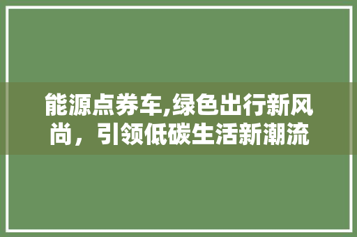 能源点券车,绿色出行新风尚，引领低碳生活新潮流