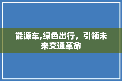 能源车,绿色出行，引领未来交通革命