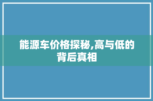 能源车价格探秘,高与低的背后真相