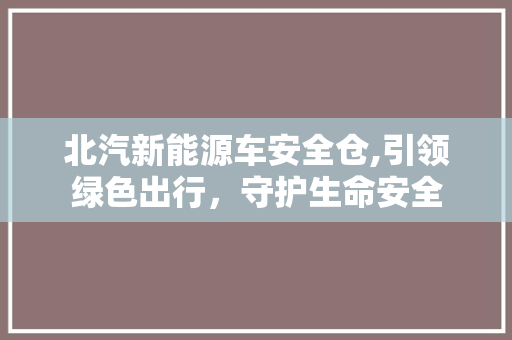 北汽新能源车安全仓,引领绿色出行，守护生命安全