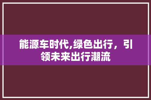 能源车时代,绿色出行，引领未来出行潮流