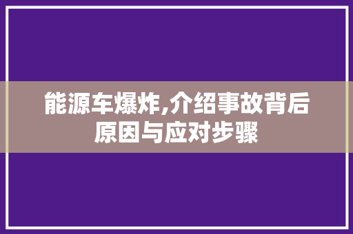 能源车爆炸,介绍事故背后原因与应对步骤