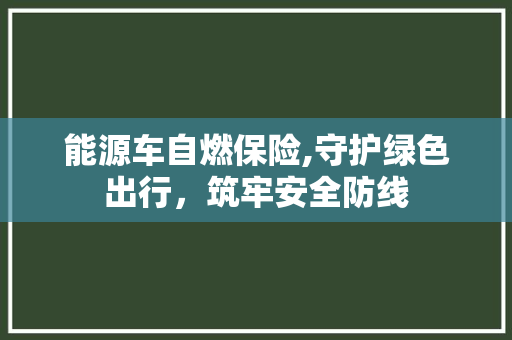 能源车自燃保险,守护绿色出行，筑牢安全防线