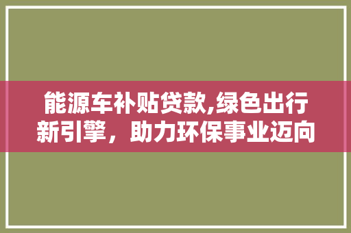 能源车补贴贷款,绿色出行新引擎，助力环保事业迈向新高峰