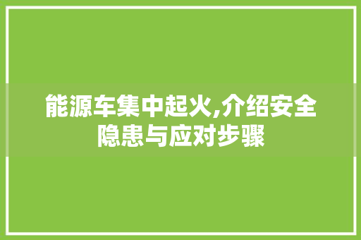 能源车集中起火,介绍安全隐患与应对步骤