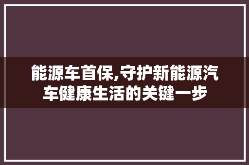 能源车首保,守护新能源汽车健康生活的关键一步