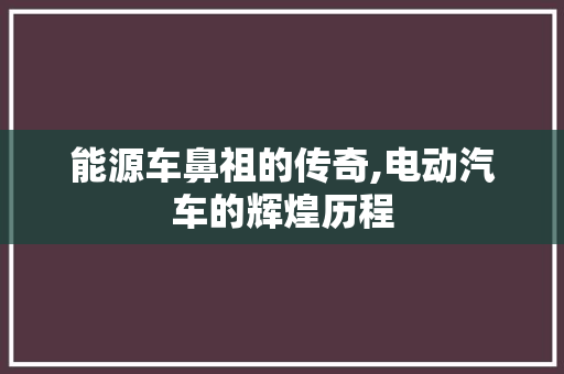 能源车鼻祖的传奇,电动汽车的辉煌历程