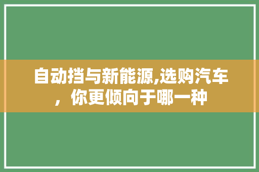 自动挡与新能源,选购汽车，你更倾向于哪一种