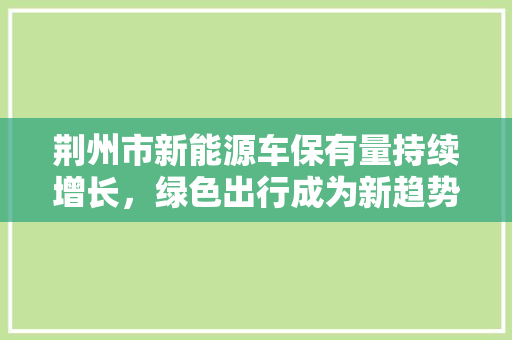 荆州市新能源车保有量持续增长，绿色出行成为新趋势