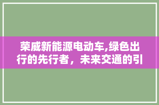 荣威新能源电动车,绿色出行的先行者，未来交通的引领者