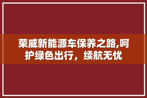 荣威新能源车保养之路,呵护绿色出行，续航无忧