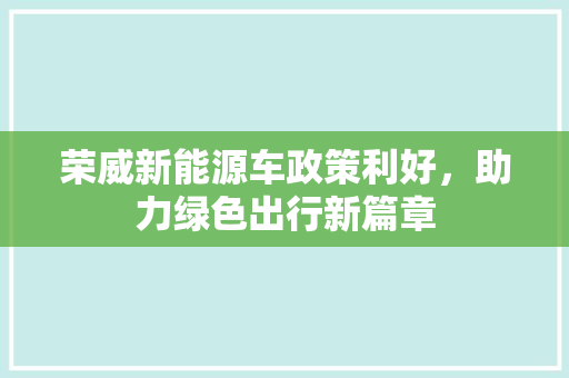 荣威新能源车政策利好，助力绿色出行新篇章