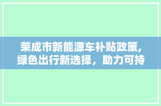 荣成市新能源车补贴政策,绿色出行新选择，助力可持续发展