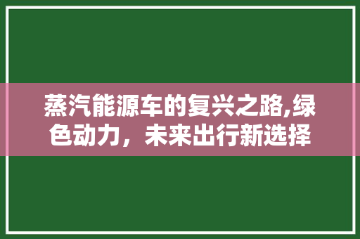 蒸汽能源车的复兴之路,绿色动力，未来出行新选择