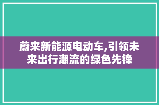 蔚来新能源电动车,引领未来出行潮流的绿色先锋