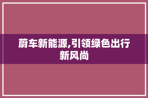 蔚车新能源,引领绿色出行新风尚