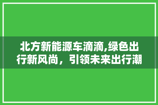 北方新能源车滴滴,绿色出行新风尚，引领未来出行潮流
