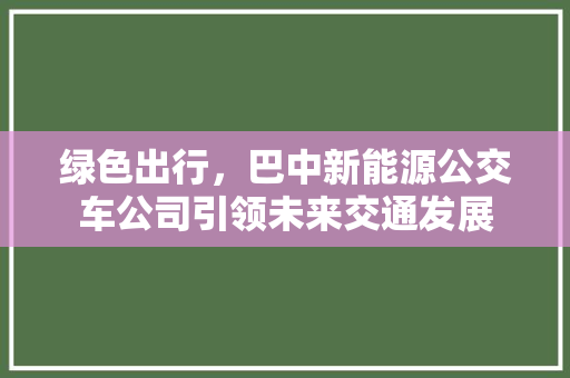 绿色出行，巴中新能源公交车公司引领未来交通发展