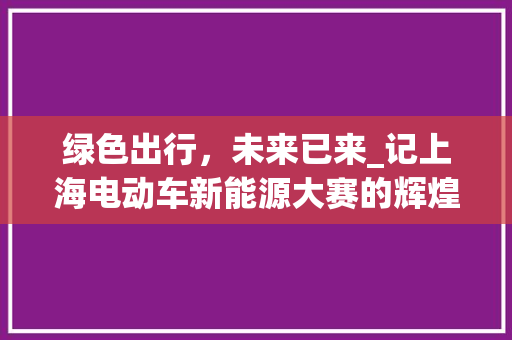 绿色出行，未来已来_记上海电动车新能源大赛的辉煌瞬间