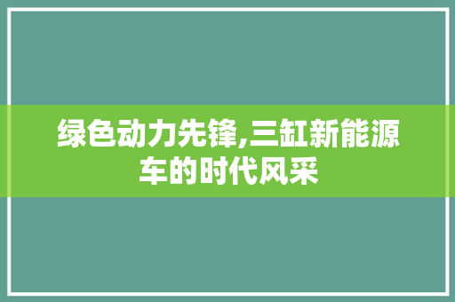 绿色动力先锋,三缸新能源车的时代风采