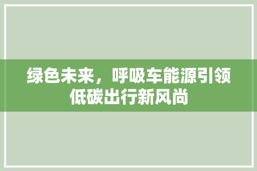 绿色未来，呼吸车能源引领低碳出行新风尚
