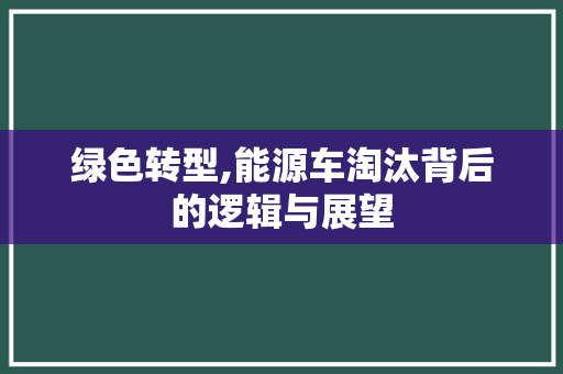 绿色转型,能源车淘汰背后的逻辑与展望