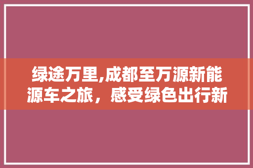 绿途万里,成都至万源新能源车之旅，感受绿色出行新风尚
