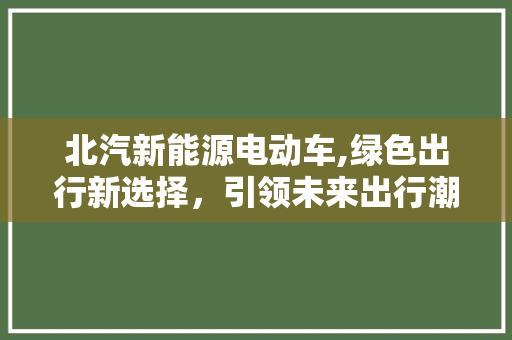 北汽新能源电动车,绿色出行新选择，引领未来出行潮流