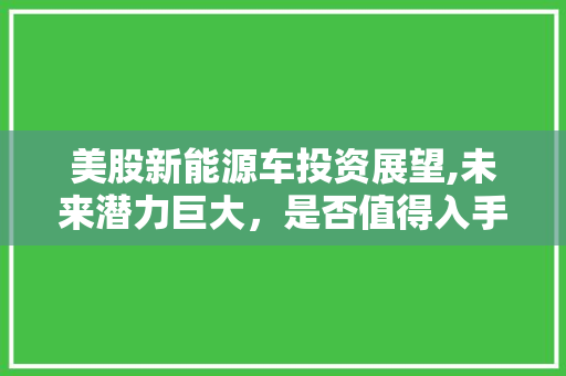 美股新能源车投资展望,未来潜力巨大，是否值得入手