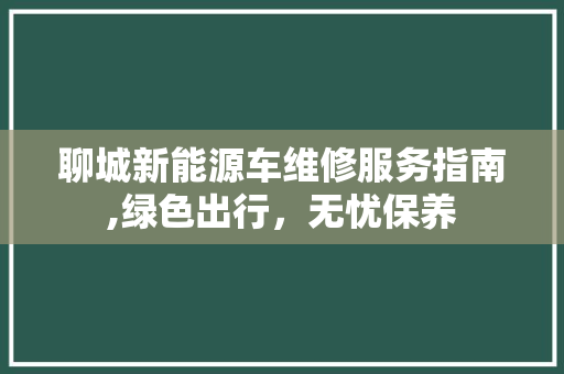 聊城新能源车维修服务指南,绿色出行，无忧保养