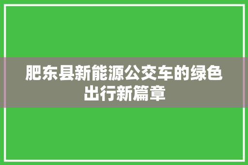 肥东县新能源公交车的绿色出行新篇章