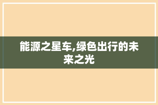 能源之星车,绿色出行的未来之光