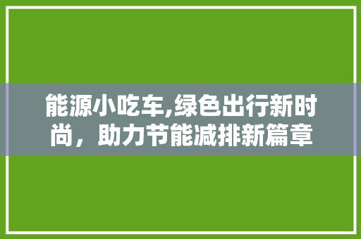 能源小吃车,绿色出行新时尚，助力节能减排新篇章