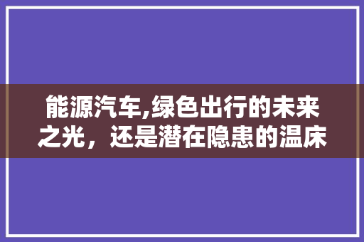 能源汽车,绿色出行的未来之光，还是潜在隐患的温床