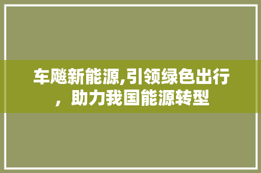 车飚新能源,引领绿色出行，助力我国能源转型