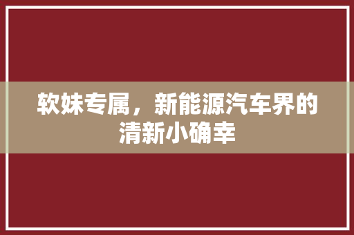 软妹专属，新能源汽车界的清新小确幸
