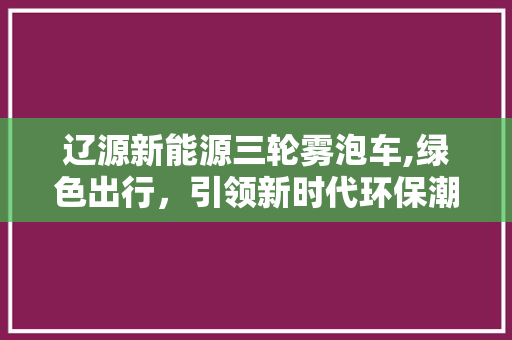 辽源新能源三轮雾泡车,绿色出行，引领新时代环保潮流