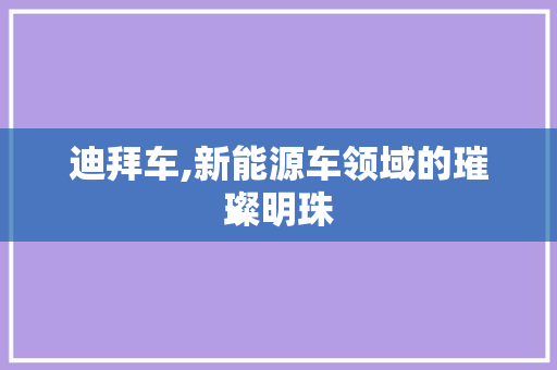 迪拜车,新能源车领域的璀璨明珠