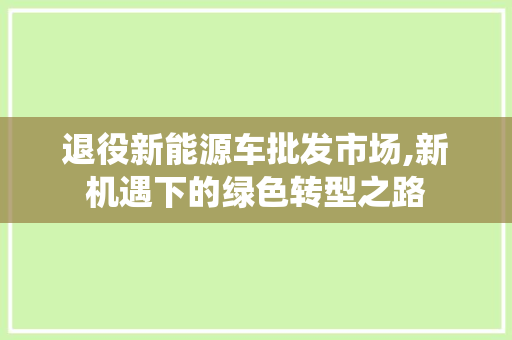 退役新能源车批发市场,新机遇下的绿色转型之路