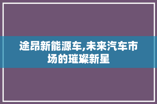 途昂新能源车,未来汽车市场的璀璨新星