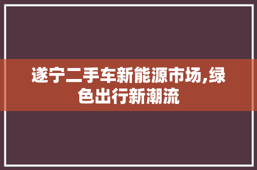 遂宁二手车新能源市场,绿色出行新潮流